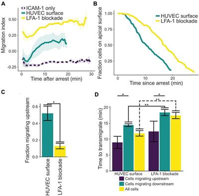 Not all (cells) who wander are lost: Upstream migration as a pervasive mode of amoeboid cell motility
